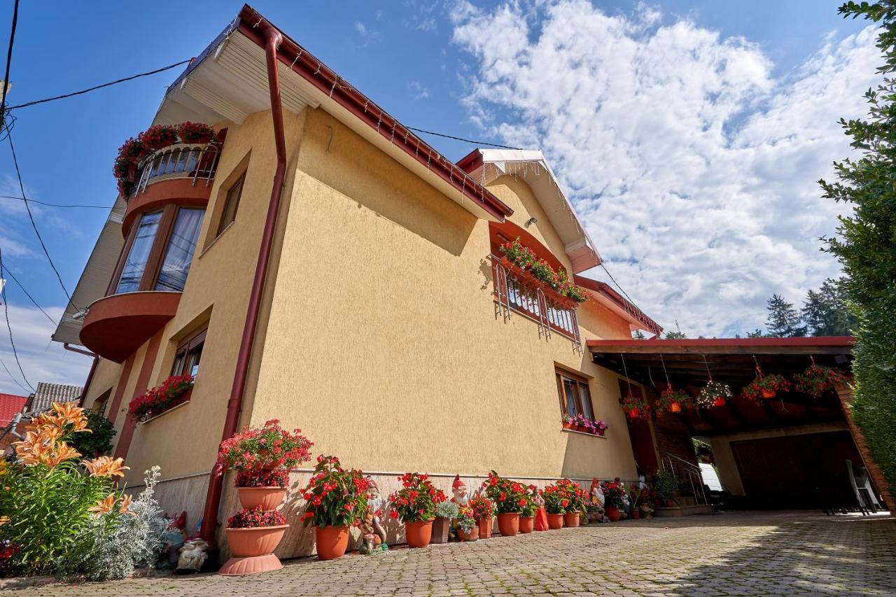 Casa Cu Flori Moisei Hotel Exterior photo
