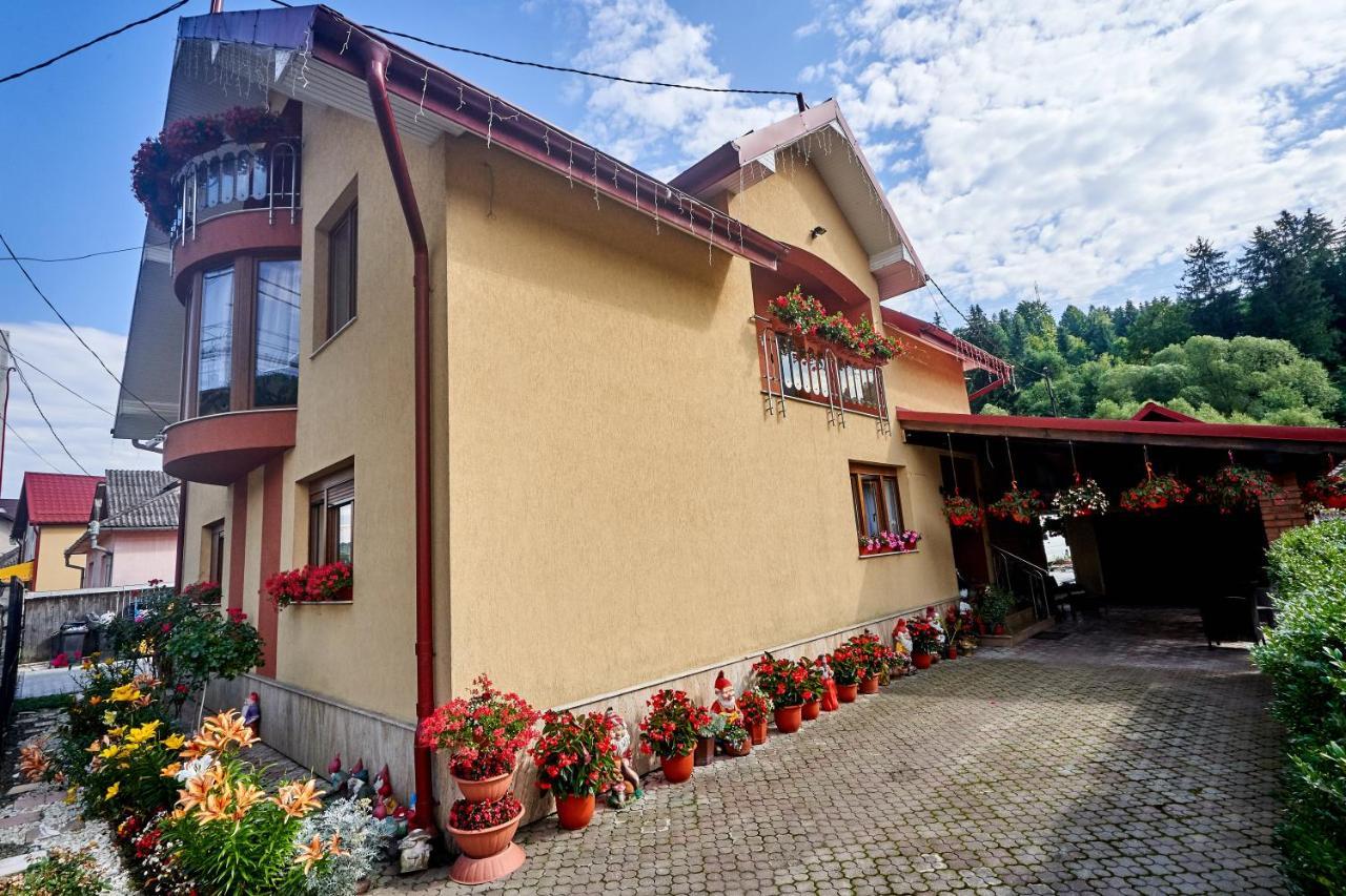 Casa Cu Flori Moisei Hotel Exterior photo