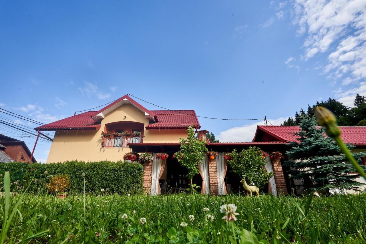 Casa Cu Flori Moisei Hotel Exterior photo